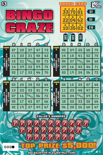 BINGO CRAZE